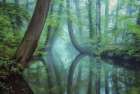 Moody Reflections Art Print