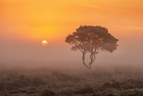 Enjoy the Silence I Landscape Print