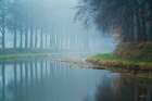 Foggy Reflections Art Print