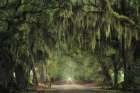 The Old Farm Road Art Print