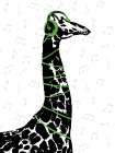 Rockin Giraffe Art Print