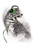 Rockin Leopard Art Print