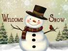 Welcome Snow Art Print