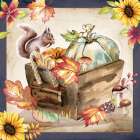 Fall Woodland IV Art Print