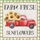Farm Fresh Sunflowers Art Print