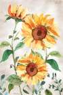 Late Summer Sunflowers I Art Print