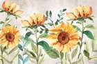 Late Summer Sunflowers II Art Print