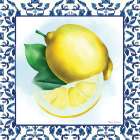 Trellis Lemon Slice Art Print