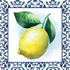 Trellis Lemon Art Print