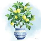 Trellis Lemon Tree Art Print