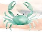 High Tide Crab Art Print
