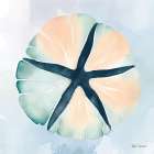 High Tide Sand Dollar Art Print