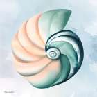 High Tide Shell Art Print