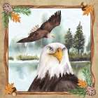 The Great Bald Eagle Art Print