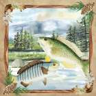 Favorite Fish Art Print