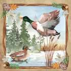 Duck in Flight Art Print