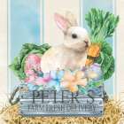 Peters Rabbit Delivery Art Print