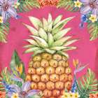 Tropical Pineapple Art Print