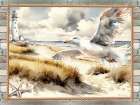 Cape Cod Seagull Art Print