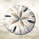 Cape Cod Sand Dollar Coastal Print
