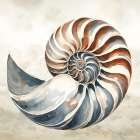 Cape Cod Shell Coastal Print