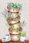 Kitchen Herbs II Art Print