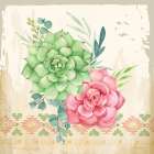Southwest Succulents I Art Print