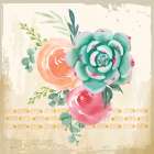 Southwest Succulents II Art Print