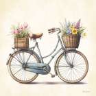 Floral Bicycle I Art Print
