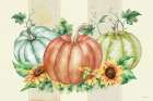 Harvest Still Life Pumpkins Art Print