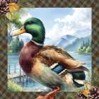 Woodland Retreat Duck Art Print