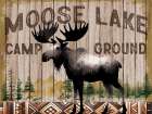 Moose Creek Camp Ground Art Print