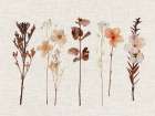Pressed Flowers For You I Art Print