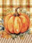 Fall Pumpkin Art Print