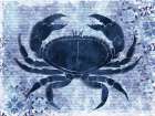 Coastal Crab Art Print