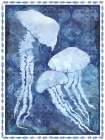 Coastal Jellyfish Art Print