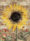Fall Sunflower Art Print