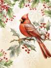 Christmas Cardinal Art Print