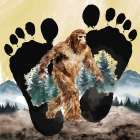 Footprint of Mystery Art Print