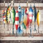 Lake Life Lures Art Print