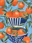Citrus Oranges Art Print