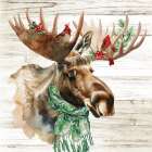 Winter Woodland Moose Art Print