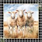 The Watchful Sheep Art Print