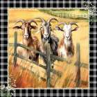 The Watchful Goats Art Print