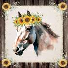 Sunflower Horse Art Print