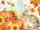 Fall Woodland Rabbit And Pumpkins Art Print