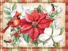 Poinsettia Perch Art Print