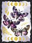 Mystic Butterflies Art Print