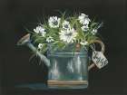 Watering Can Daisy Art Print