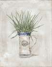 Mug Plant Botanical Print